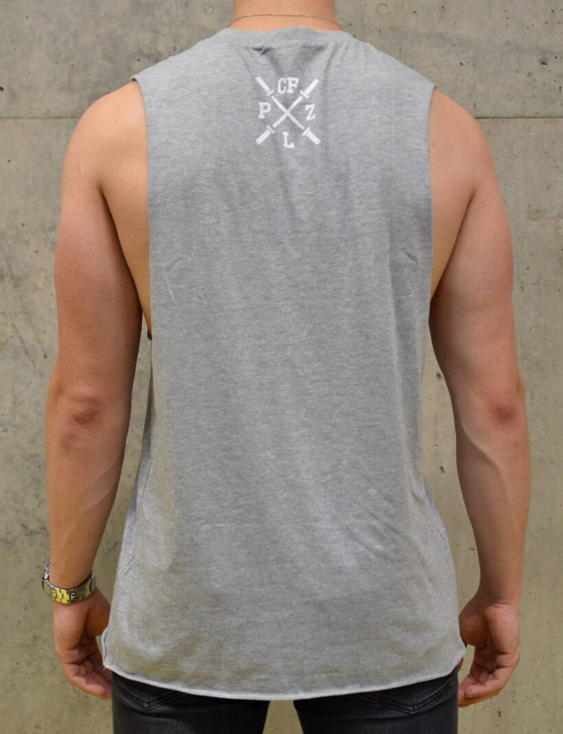 pánské tričko bez rukávů: CrossFit reflection, šedá, zezadu