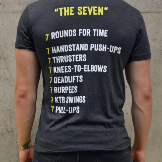 pánské tričko: The seven, šedá, zezadu